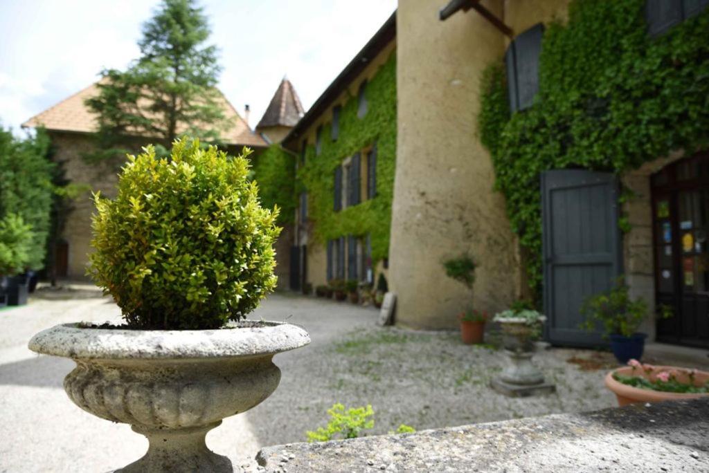 Chateau De Passieres Chichilianne Exteriér fotografie